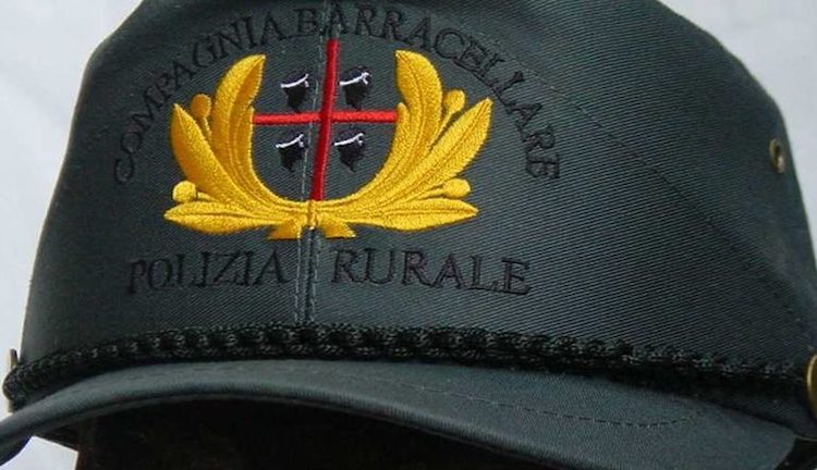 Compagnia Barracellare: Police Force Of Sardinia