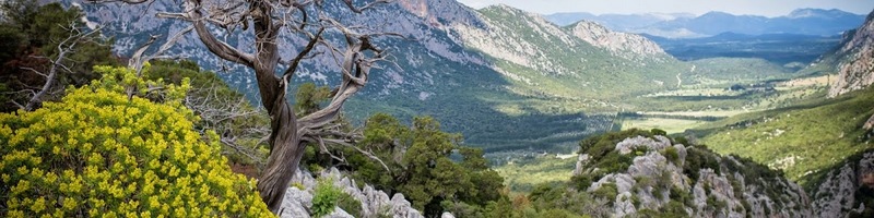 Sardegna: Premio Di Isola Forestale D'Europa